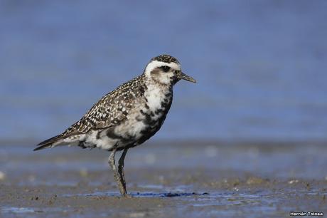 Lo más destacado de  2018