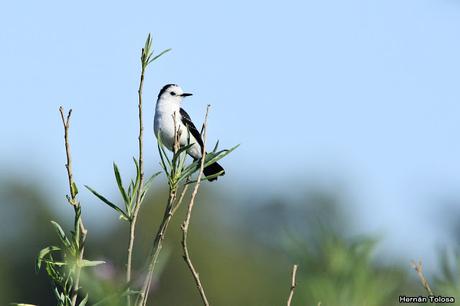 Lo más destacado de  2018