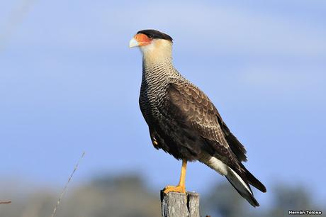 Lo más destacado de  2018