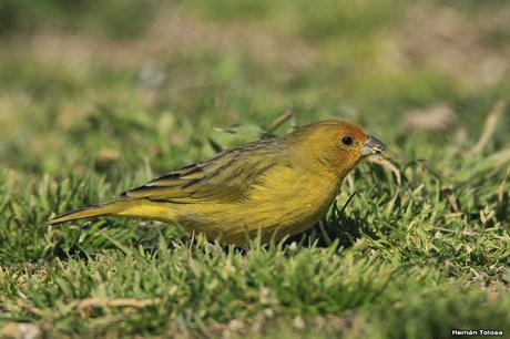 Lo más destacado de  2018