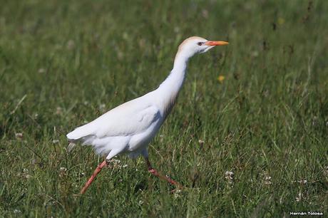 Lo más destacado de  2018
