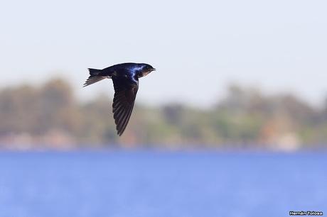 Lo más destacado de  2018