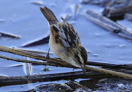 Lo más destacado de  2018