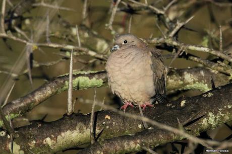 Lo más destacado de  2018