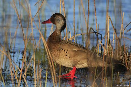 Lo más destacado de  2018