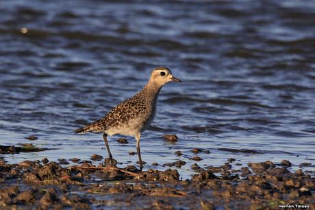 Lo más destacado de  2018
