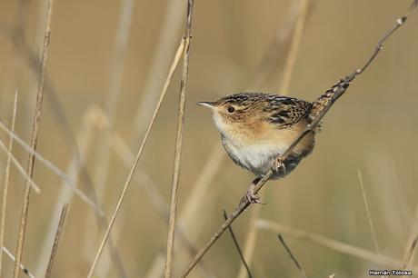 Lo más destacado de  2018