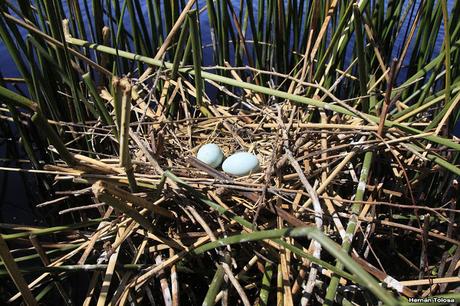 Lo más destacado de  2018