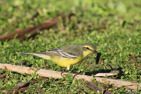Lo más destacado de  2018
