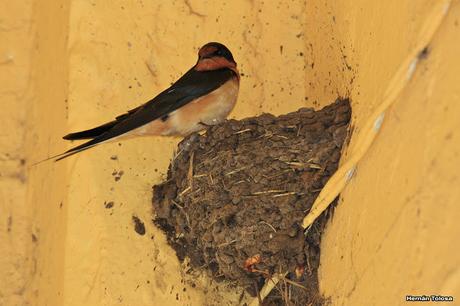 Lo más destacado de  2018