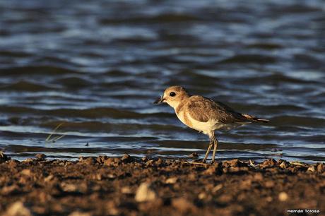 Lo más destacado de  2018