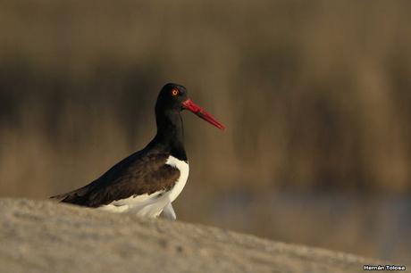 Lo más destacado de  2018