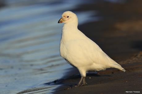 Lo más destacado de  2018