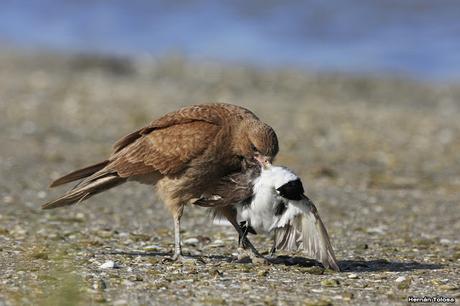 Lo más destacado de  2018