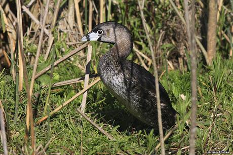 Lo más destacado de  2018