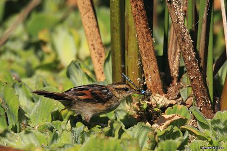 Lo más destacado de  2018
