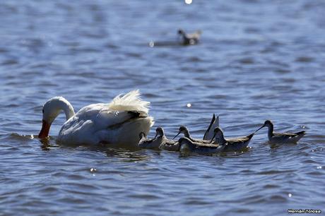 Lo más destacado de  2018