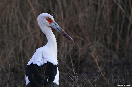 Lo más destacado de  2018