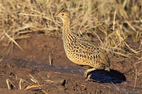 Lo más destacado de  2018