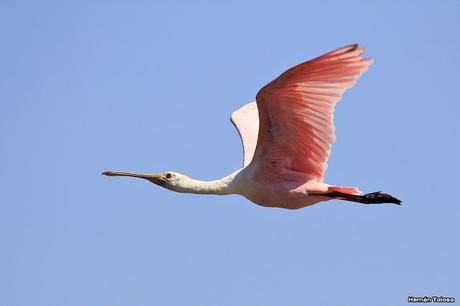 Lo más destacado de  2018