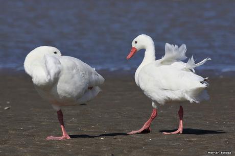 Lo más destacado de  2018