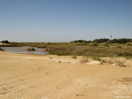 Lo más destacado de  2018