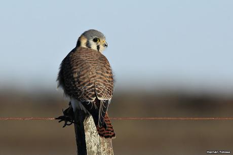 Lo más destacado de  2018
