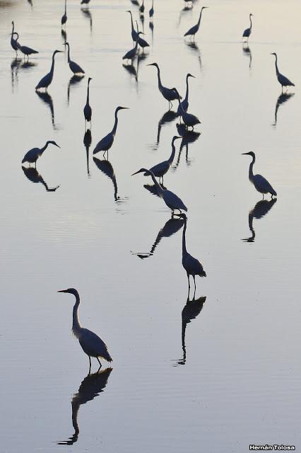 Lo más destacado de  2018