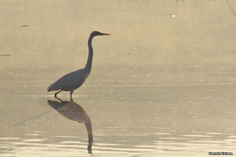 Lo más destacado de  2018