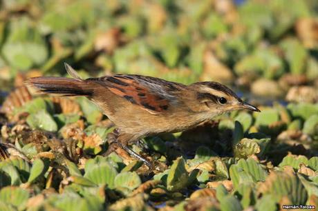Lo más destacado de  2018