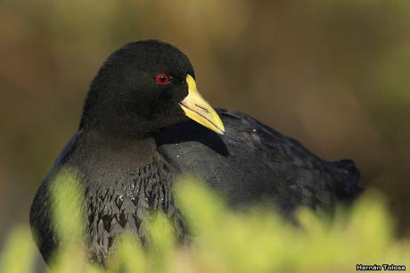 Lo más destacado de  2018