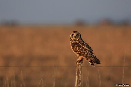 Lo más destacado de  2018