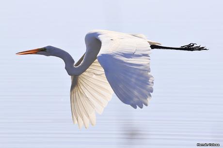 Lo más destacado de  2018