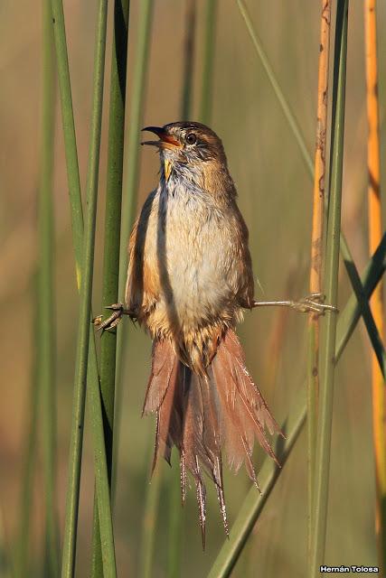 Lo más destacado de  2018