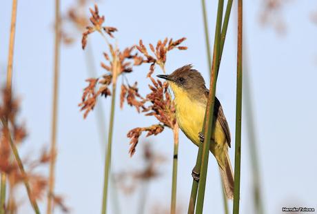 Lo más destacado de  2018