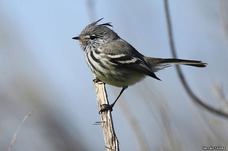 Lo más destacado de  2018