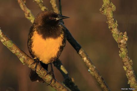 Lo más destacado de  2018