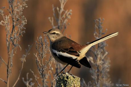 Lo más destacado de  2018