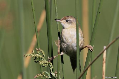 Lo más destacado de  2018