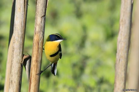 Lo más destacado de  2018