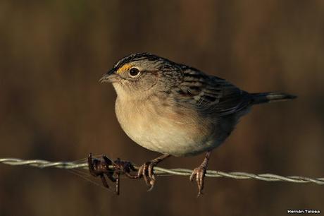 Lo más destacado de  2018