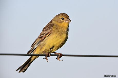 Lo más destacado de  2018