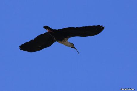 Lo más destacado de  2018