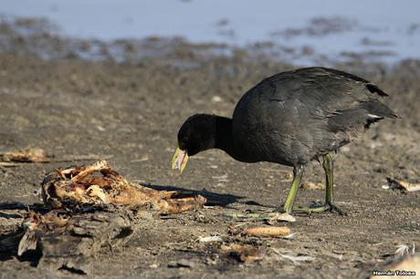 Lo más destacado de  2018