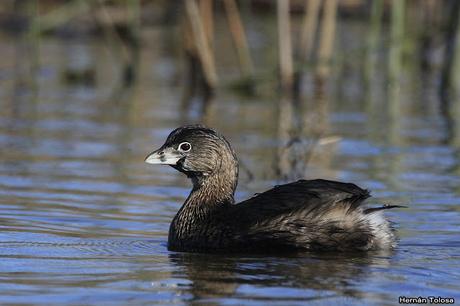 Lo más destacado de  2018