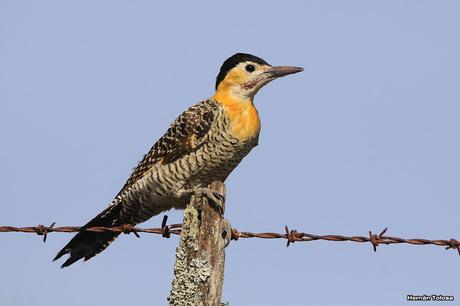 Lo más destacado de  2018