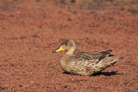 Lo más destacado de  2018