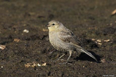 Lo más destacado de  2018