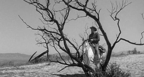 Man with the Gun - 1955 Man with the Gun - 1955