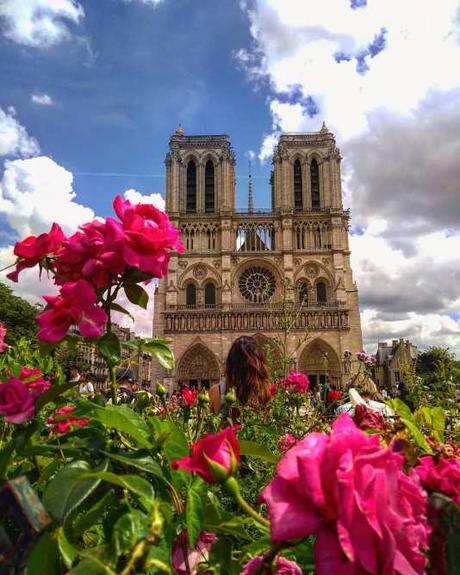 Las 9 fotos más votadas del 2018